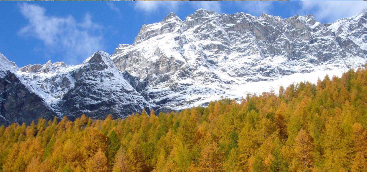 Hotel 2000 Livigno Ngoại thất bức ảnh
